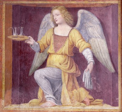 Ein Engel, 1525 von Bernardino Luini